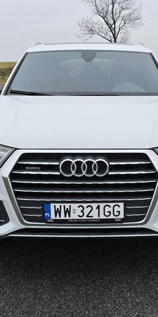 AUDI7.jpg